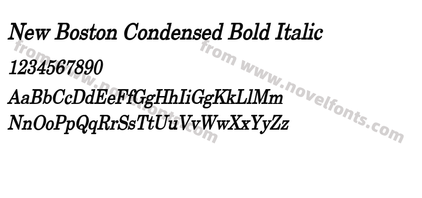 New Boston Condensed Bold ItalicPreview