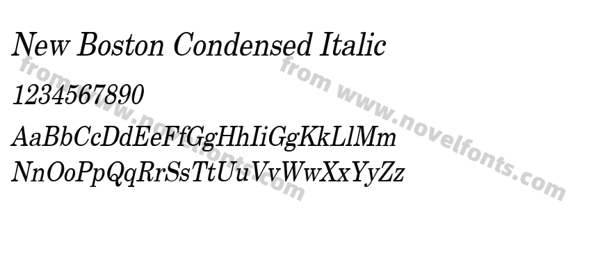 New Boston Condensed ItalicPreview