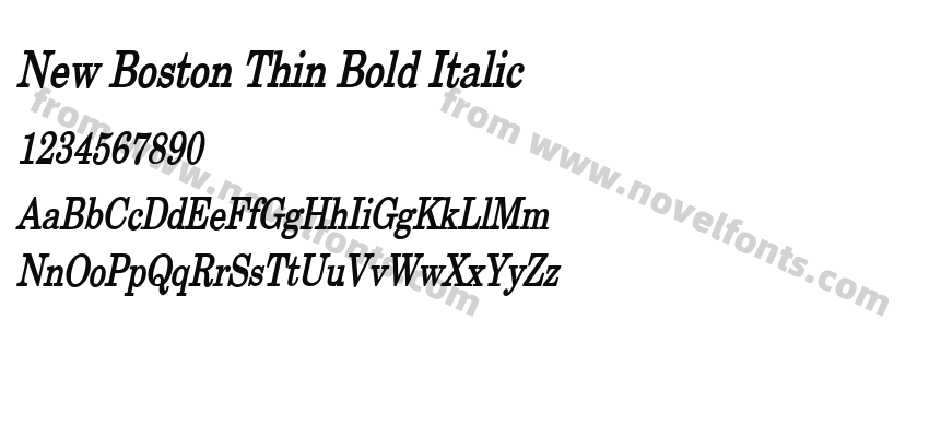 New Boston Thin Bold ItalicPreview