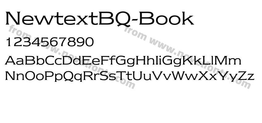 NewtextBQ-BookPreview