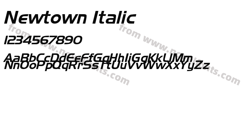 Newtown ItalicPreview