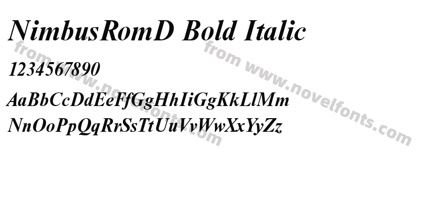 NimbusRomD Bold ItalicPreview