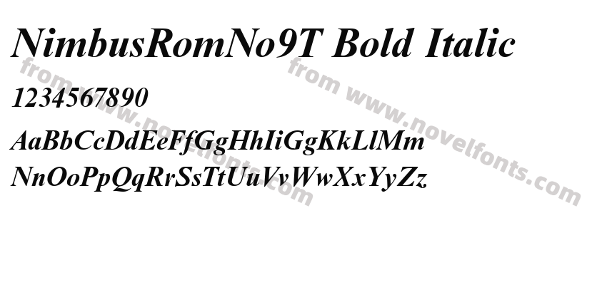 NimbusRomNo9T Bold ItalicPreview