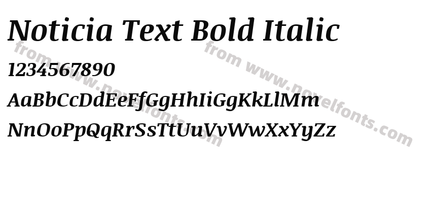 Noticia Text Bold ItalicPreview