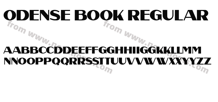 Odense Book RegularPreview