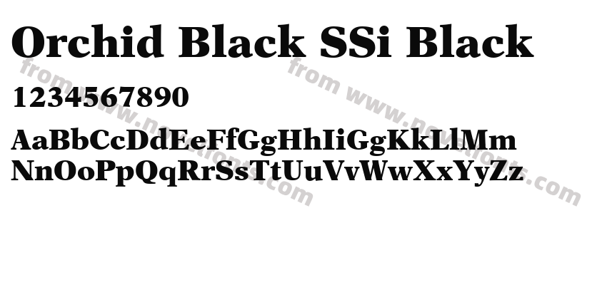 Orchid Black SSi BlackPreview