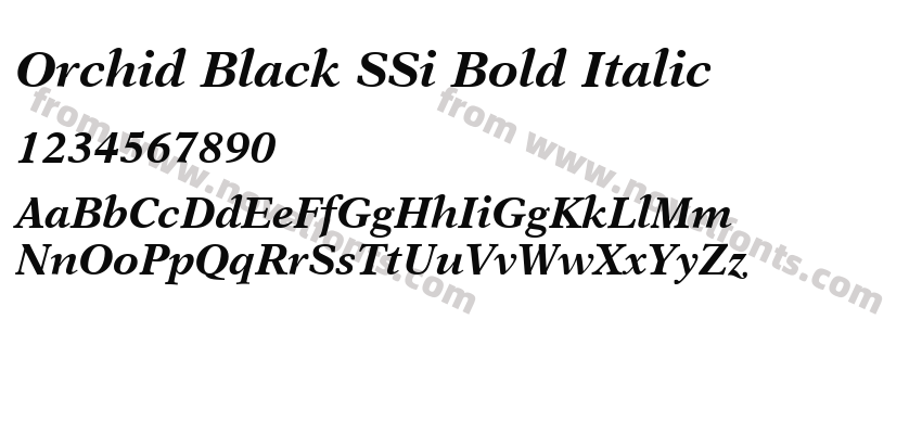 Orchid Black SSi Bold ItalicPreview