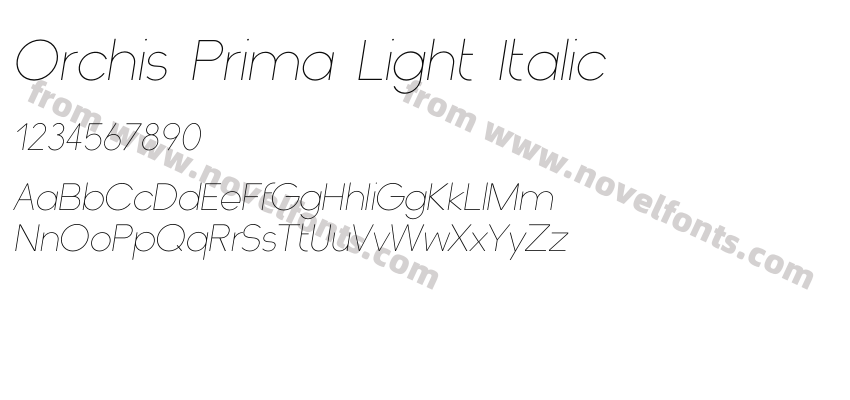 Orchis Prima Light ItalicPreview