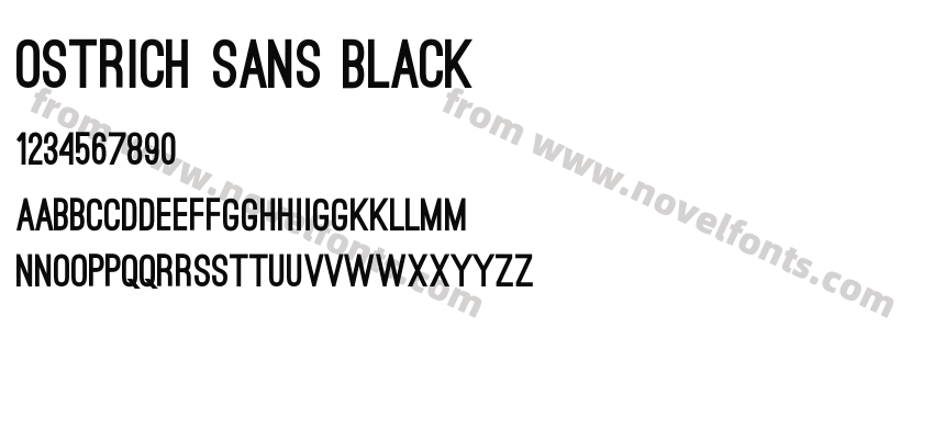 Ostrich Sans BlackPreview