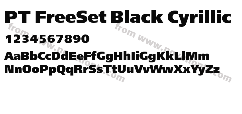 PT FreeSet Black CyrillicPreview