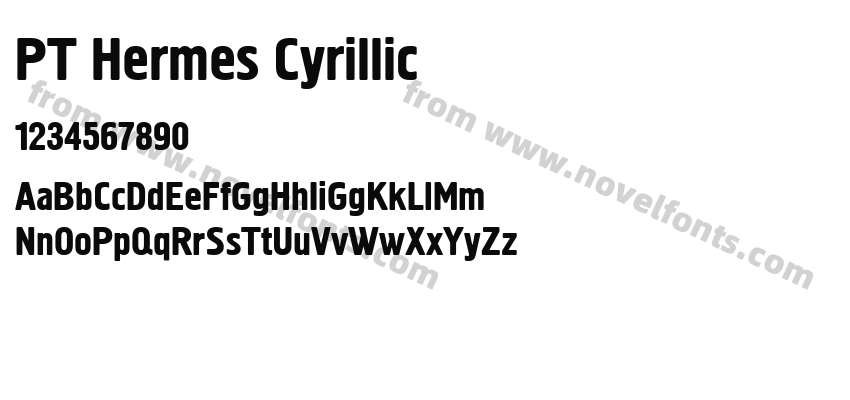 PT Hermes CyrillicPreview