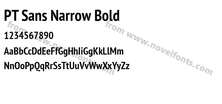 PT Sans Narrow BoldPreview