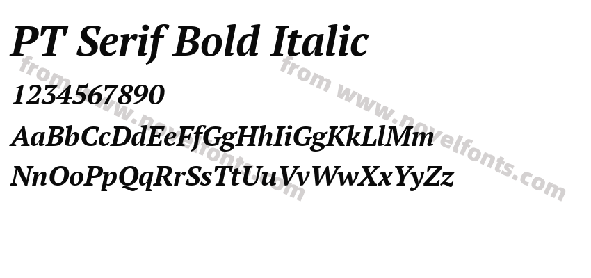 PT Serif Bold ItalicPreview