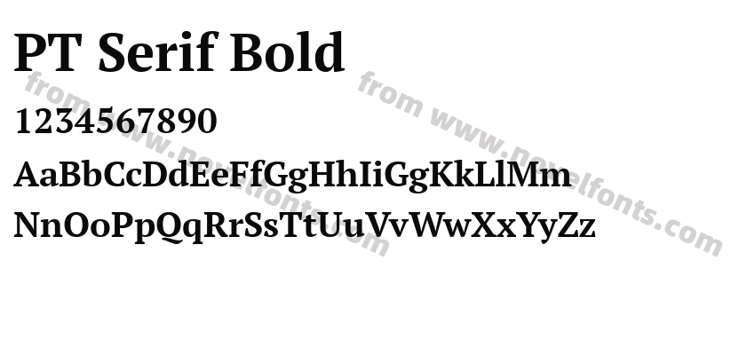 PT Serif BoldPreview