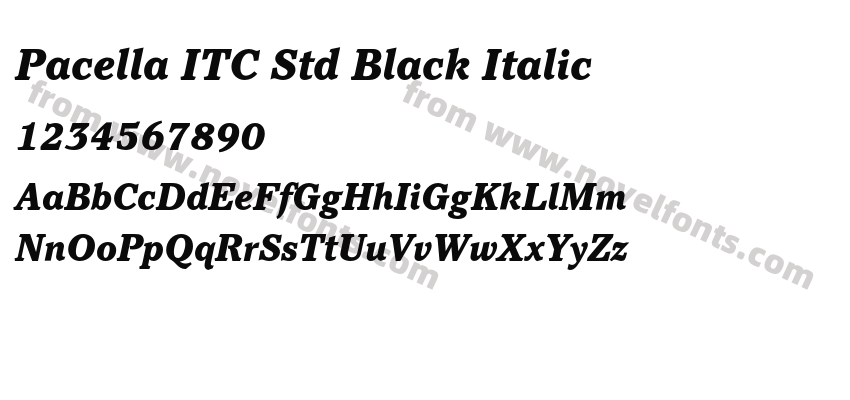 Pacella ITC Std Black ItalicPreview