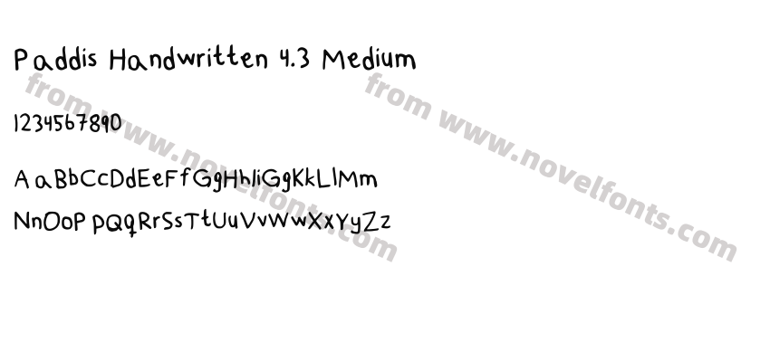 Paddis Handwritten 4.3 MediumPreview