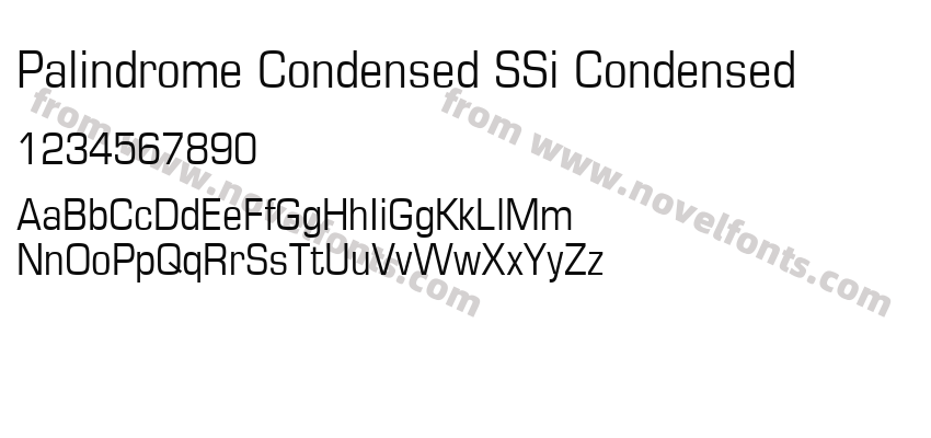 Palindrome Condensed SSi CondensedPreview