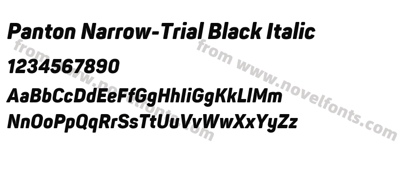 Panton Narrow-Trial Black ItalicPreview