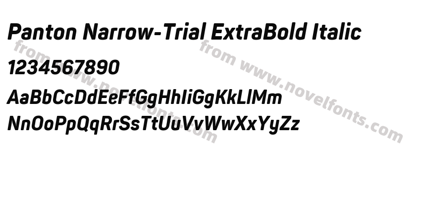 Panton Narrow-Trial ExtraBold ItalicPreview