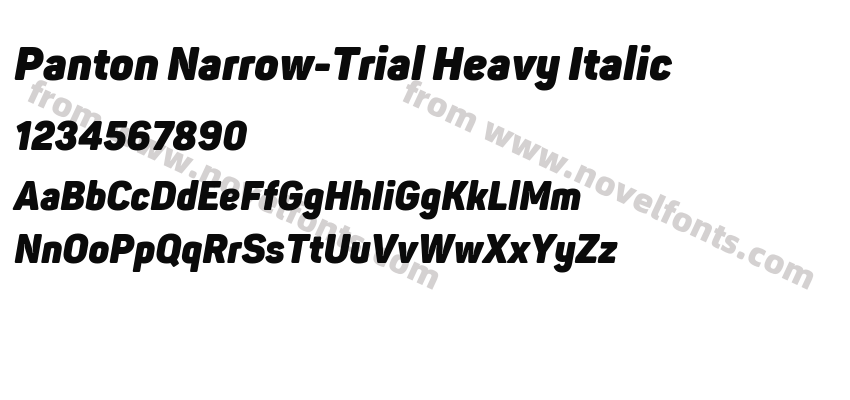 Panton Narrow-Trial Heavy ItalicPreview