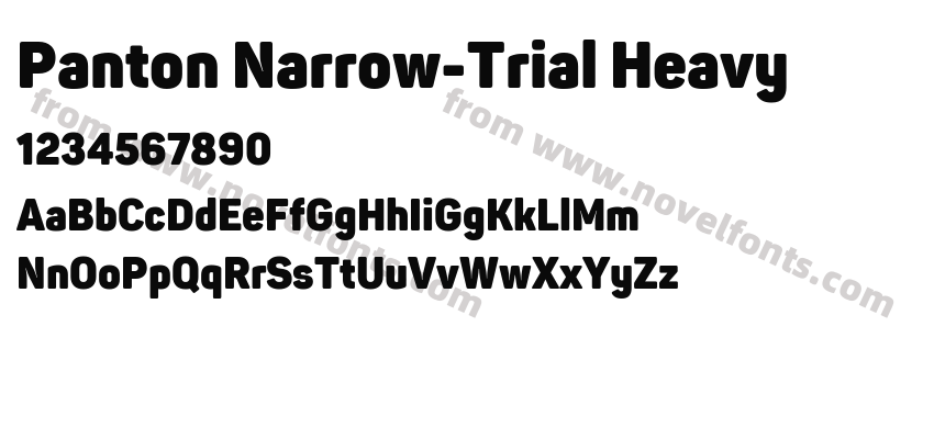 Panton Narrow-Trial HeavyPreview