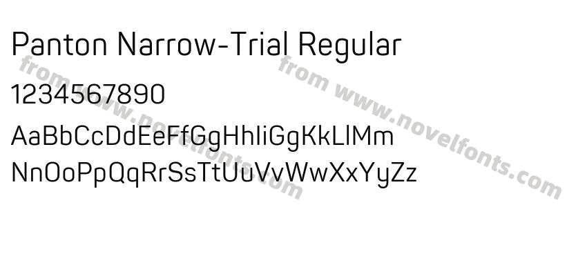 Panton Narrow-Trial RegularPreview