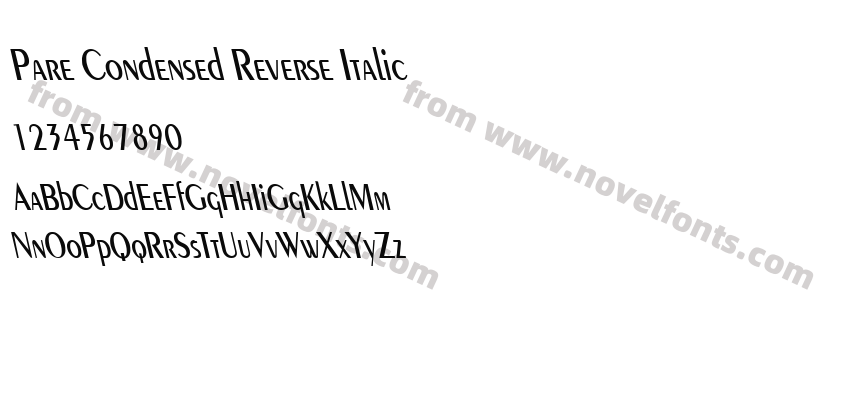 Pare Condensed Reverse ItalicPreview