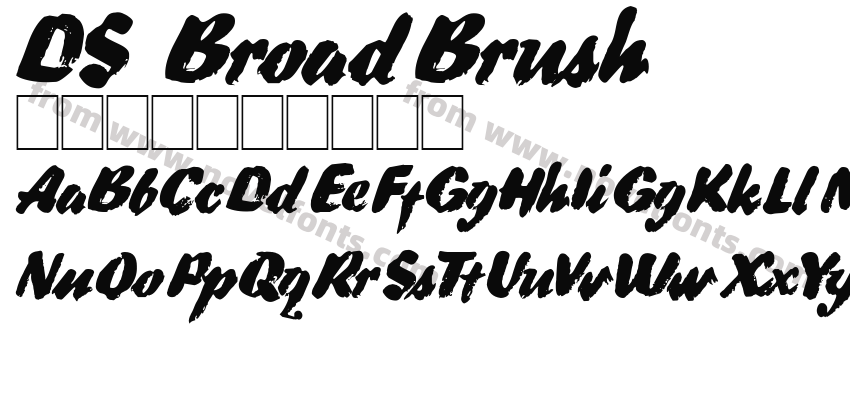 DS BroadBrushPreview