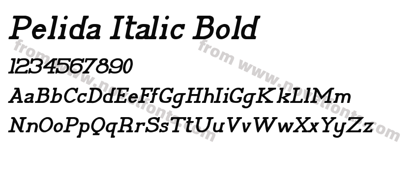 Pelida Italic BoldPreview