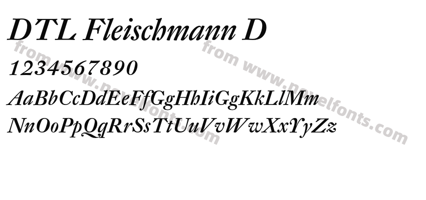 DTL Fleischmann DPreview