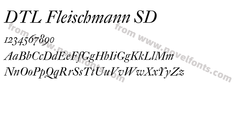 DTL Fleischmann SDPreview