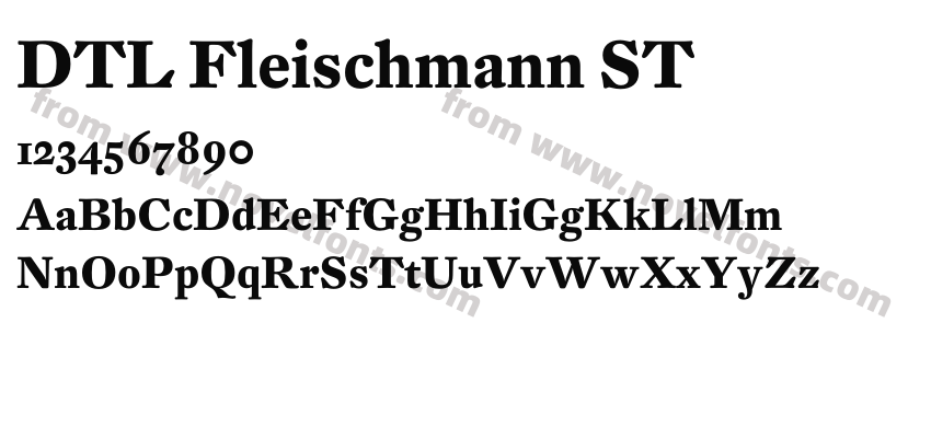 DTL Fleischmann STPreview