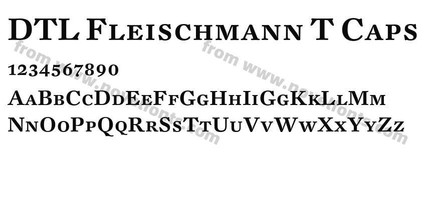 DTL Fleischmann T CapsPreview