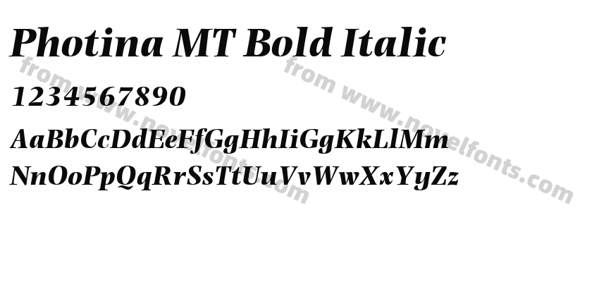 Photina MT Bold ItalicPreview