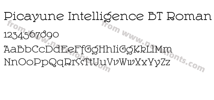 Picayune Intelligence BT RomanPreview