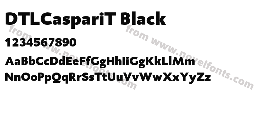 DTLCaspariT BlackPreview