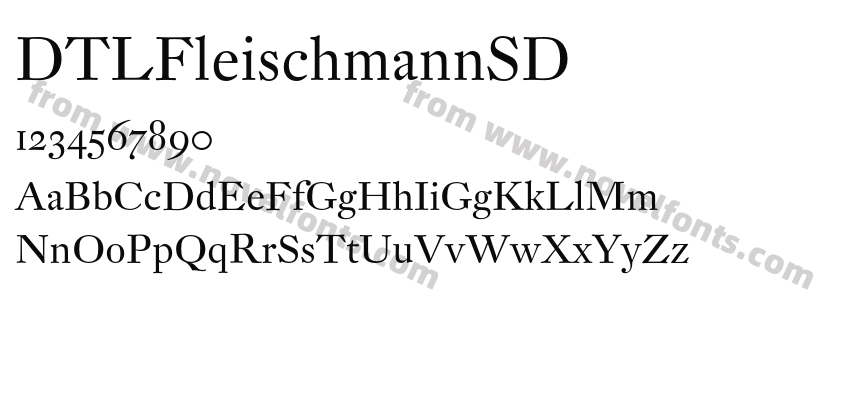 DTLFleischmannSDPreview