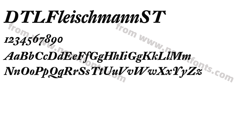 DTLFleischmannSTPreview