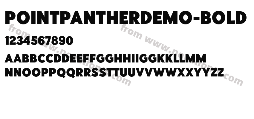 PointPantherDEMO-BoldPreview