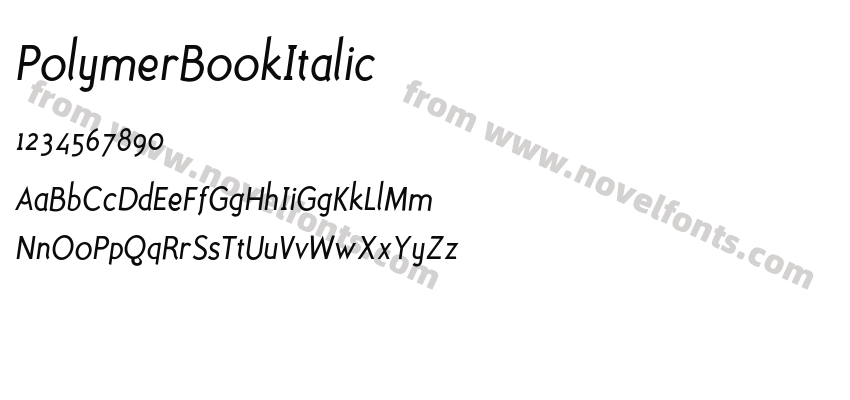 PolymerBookItalicPreview