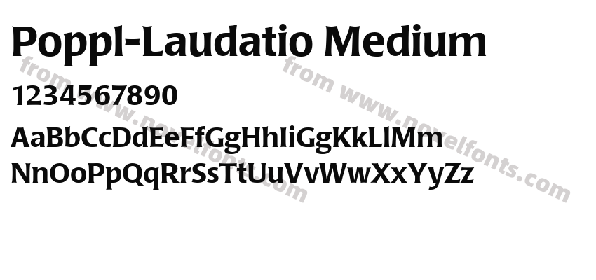 Poppl-Laudatio MediumPreview