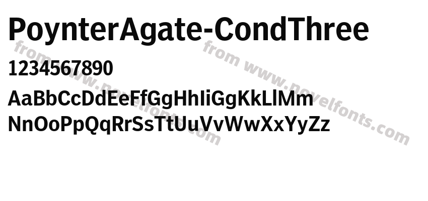 PoynterAgate-CondThreePreview