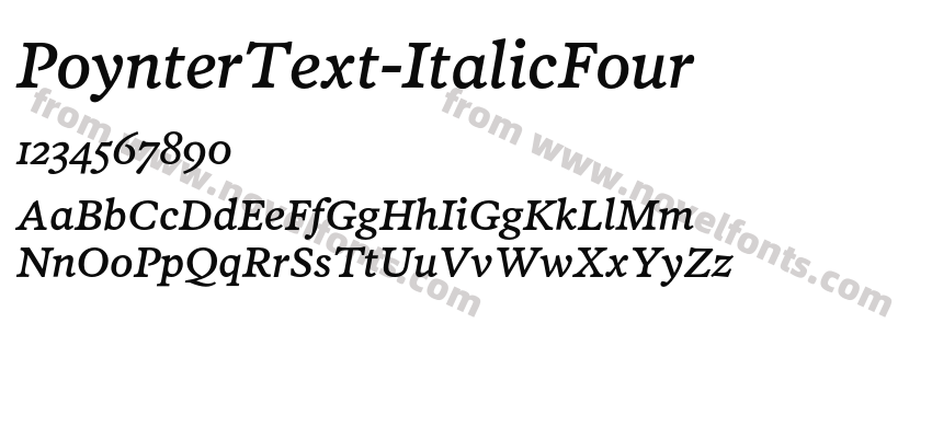 PoynterText-ItalicFourPreview