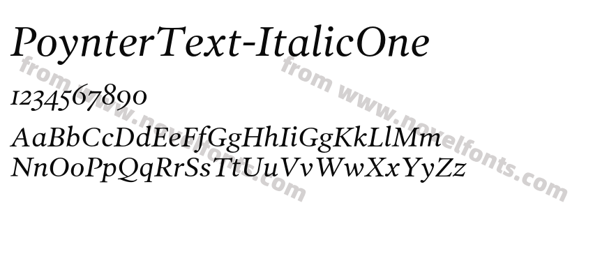 PoynterText-ItalicOnePreview