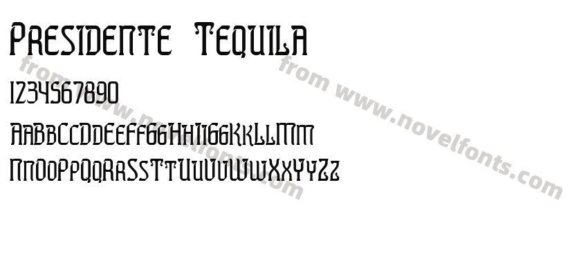 Presidente TequilaPreview