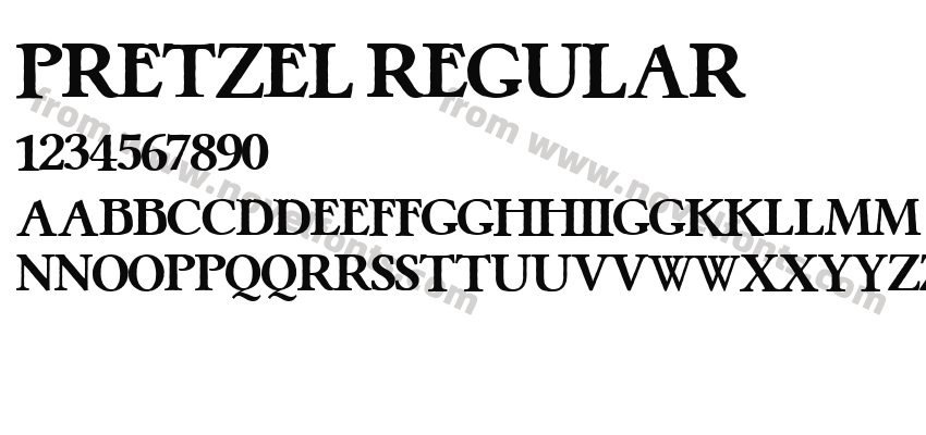 Pretzel RegularPreview