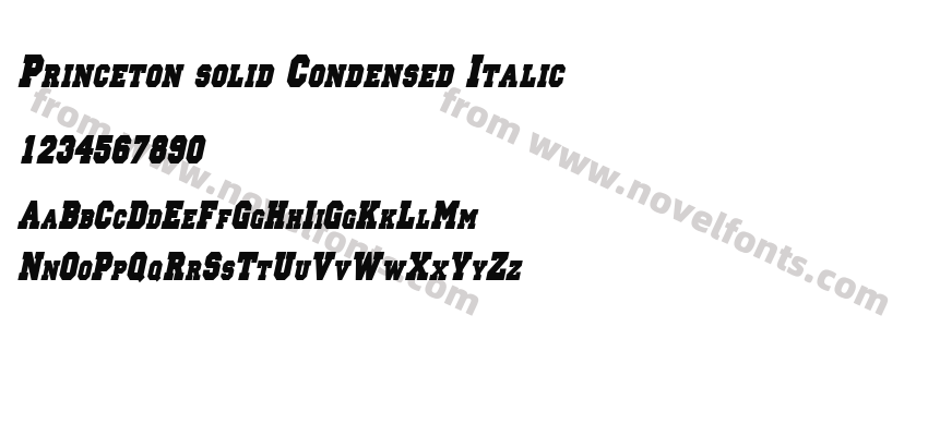 Princeton solid Condensed ItalicPreview