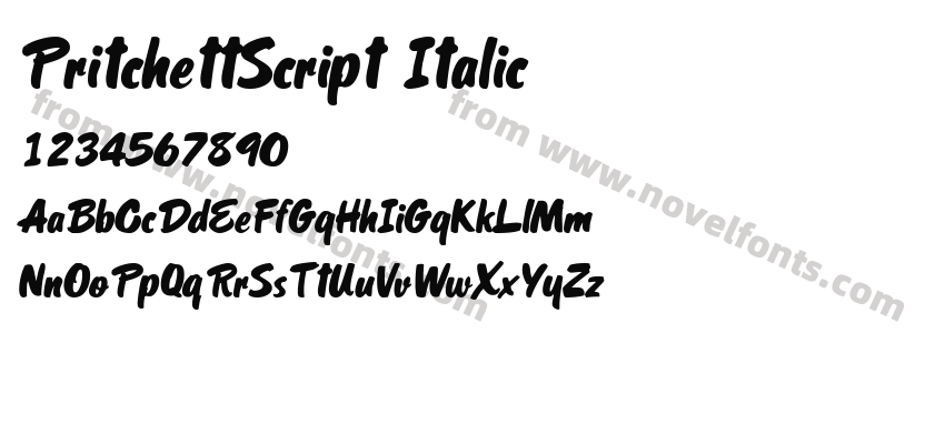 PritchettScript ItalicPreview