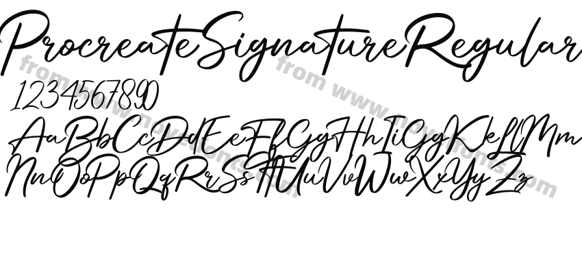 ProcreateSignatureRegularPreview