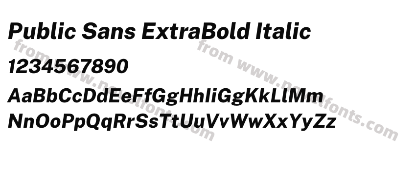 Public Sans ExtraBold ItalicPreview